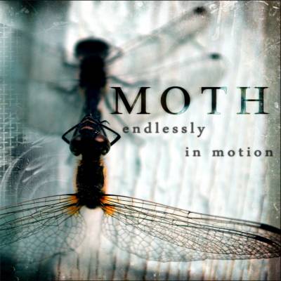 Moth — Endlessly in Motion (2013)