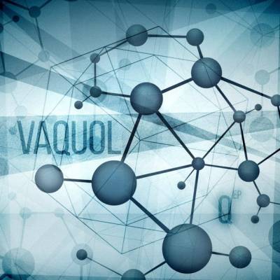 VAQUOL — Q [EP] (2014)