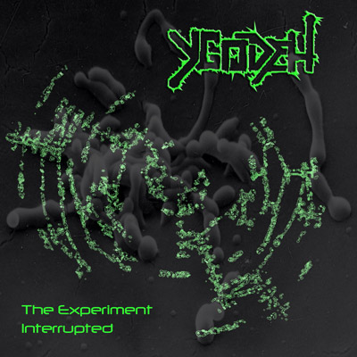 YGODEH – The Experiment Interrupted (2013)