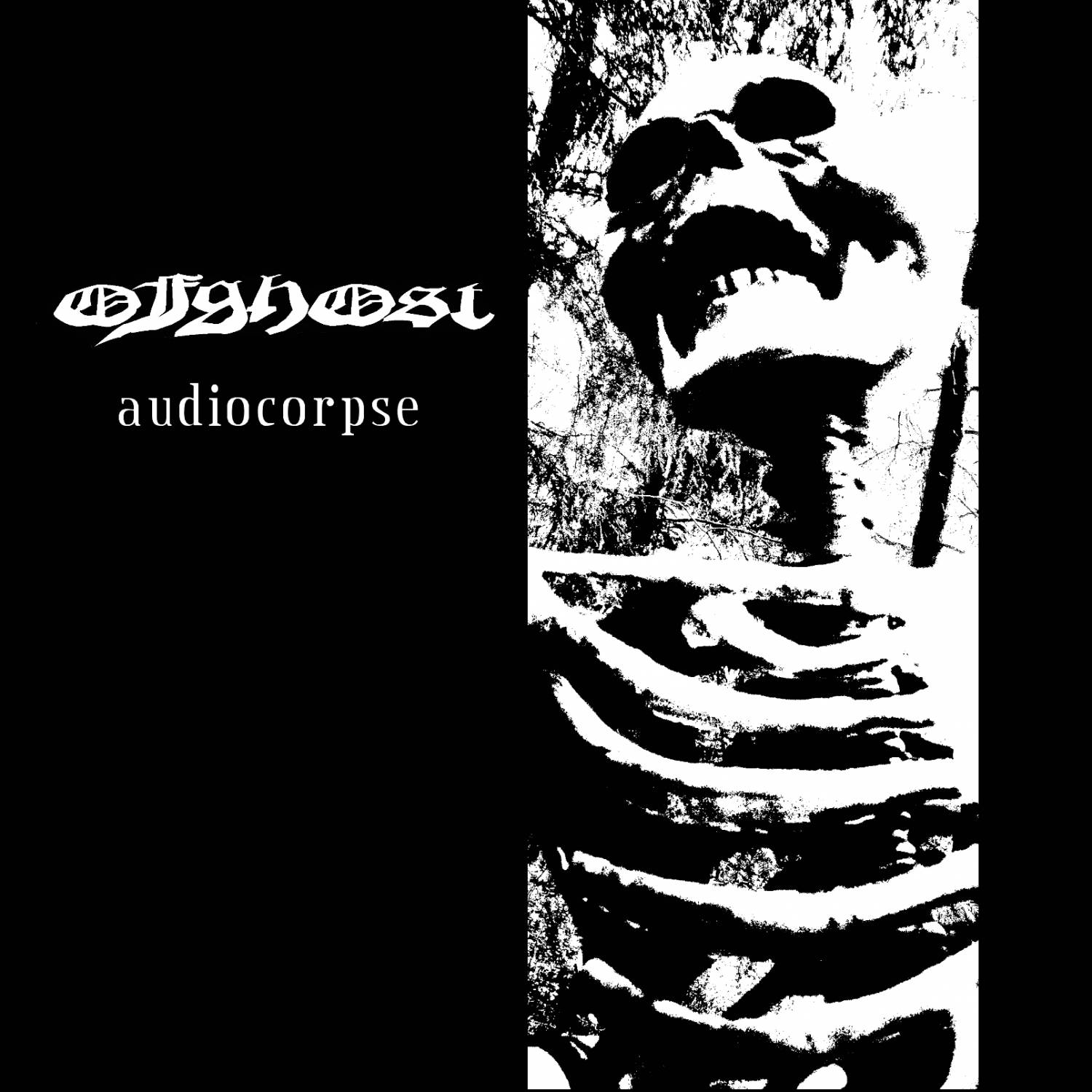 Ofghost — Audiocorpse (2013)